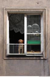 Photo Textures of Windows